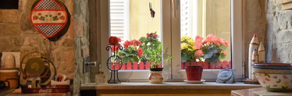 B&B Petra Trieste Bagian luar foto